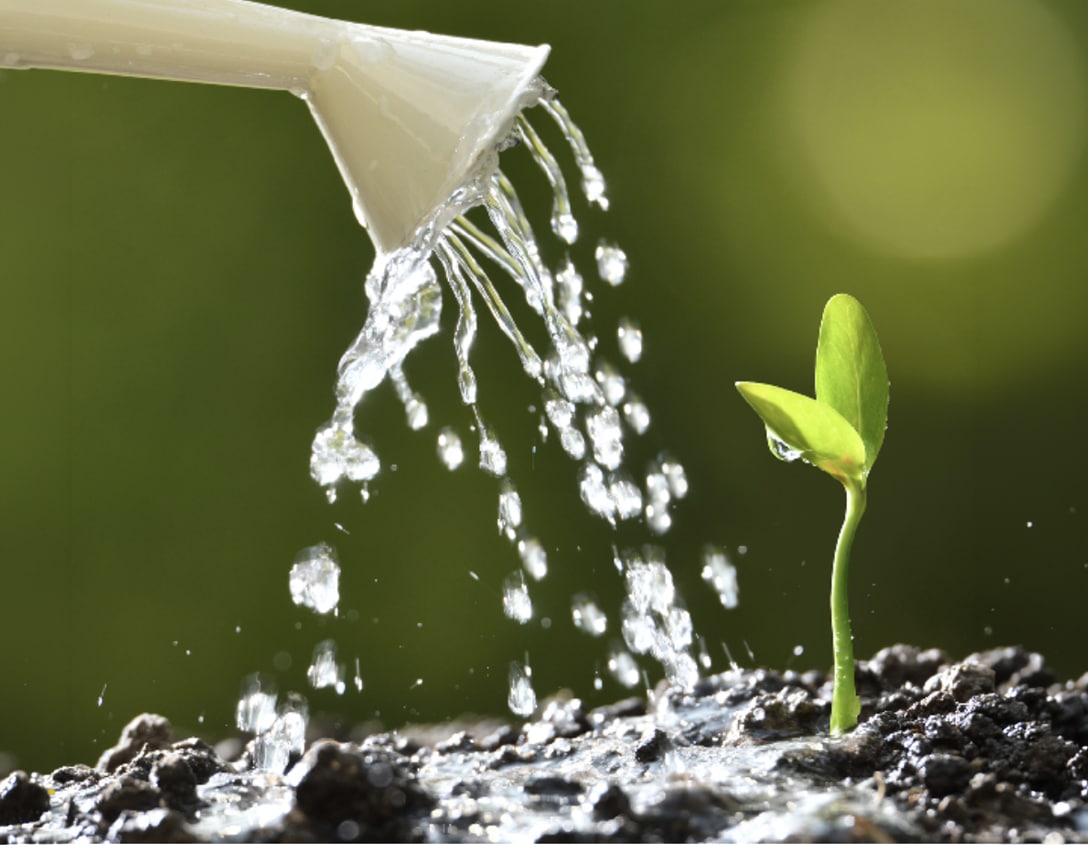 fondamenti di analisi